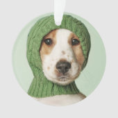 Animaux de bébés cutest | Cocker Spaniel (devant)