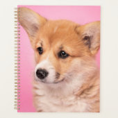 Animaux de bébés cutest | Corgi Chiot rose (Devant)