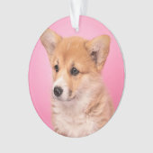 Animaux de bébés cutest | Corgi Chiot rose (devant)