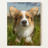 Animaux de bébés cutest | Corgi dans le nuage (Dos)