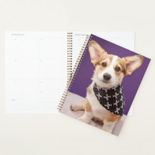 Animaux de bébés cutest Corgi Puppy Skull Bandan