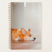 Animaux de bébés cutest | Corgi Sleeping (Devant)