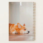 Animaux de bébés cutest | Corgi Sleeping (Dos)