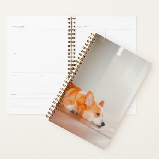 Animaux de bébés cutest | Corgi Sleeping (Devant avec enveloppe)