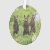 Animaux de bébés cutest | Cubes d'ours Brown Kamch (devant)