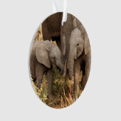 Animaux de bébés cutest | Deux jeunes éléphants (devant)