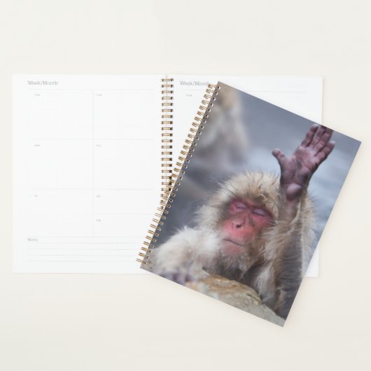 Animaux de bébés cutest | Face de singe de neige (Devant avec enveloppe)