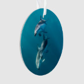 Animaux de bébés cutest | Famille de dauphins (devant)