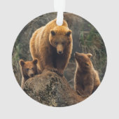 Animaux de bébés cutest | Famille d'ours Brown (dos)