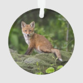Animaux de bébés cutest | Foxy Smile (dos)