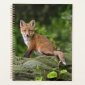Animaux de bébés cutest | Foxy Smile (Devant)