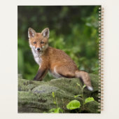 Animaux de bébés cutest | Foxy Smile (Dos)