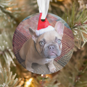 Animaux de bébés cutest French Bulldog Christmas