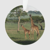 Animaux de bébés cutest | Giraffe Calf & Mama (devant)