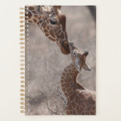 Animaux de bébés cutest | Giraffe mère et bébé (Devant)