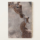 Animaux de bébés cutest | Giraffe mère et bébé (Dos)