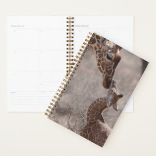 Animaux de bébés cutest Giraffe mère et bébé