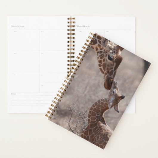 Animaux de bébés cutest | Giraffe mère et bébé (Devant avec enveloppe)