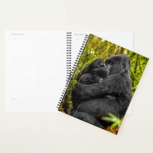 Animaux de bébés cutest | Gorilla & bébé (Devant avec enveloppe)