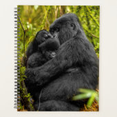 Animaux de bébés cutest | Gorilla & bébé (Devant)