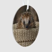 Animaux de bébés cutest | Hérisson dans un panier (devant)