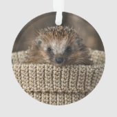 Animaux de bébés cutest | Hérisson dans un panier (dos)