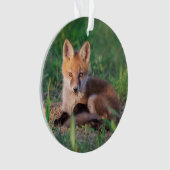 Animaux de bébés cutest | Kit Red Fox Relaxant (devant)