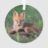 Animaux de bébés cutest | Kit Red Fox Relaxant (dos)