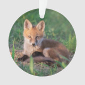 Animaux de bébés cutest | Kit Red Fox Relaxant (devant)
