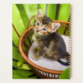 Animaux de bébés cutest | Kitten dans le panier (Dos)