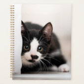 Animaux de bébés cutest | Kitten noir et blanc (Devant)