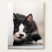 Animaux de bébés cutest | Kitten noir et blanc (Dos)