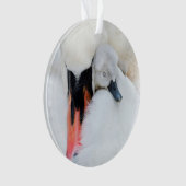 Animaux de bébés cutest | Mère et bébé Mute Swan (devant)