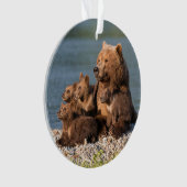 Animaux de bébés cutest | Mère Ours & Cubs (devant)