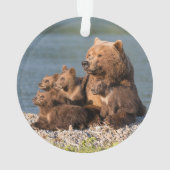Animaux de bébés cutest | Mère Ours & Cubs (dos)
