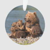 Animaux de bébés cutest | Mère Ours & Cubs (devant)