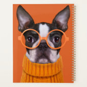 Animaux de bébés cutest | Orange Boston Terrier (Dos)