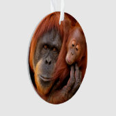 Animaux de bébés cutest | Orangutan Maman & Baby (devant)