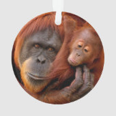 Animaux de bébés cutest | Orangutan Maman & Baby (dos)