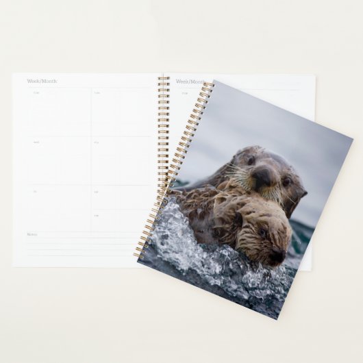 Animaux de bébés cutest | Otter Baby & Mère (Devant avec enveloppe)