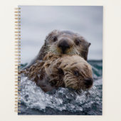 Animaux de bébés cutest | Otter Baby & Mère (Devant)
