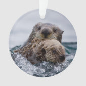 Animaux de bébés cutest | Otter Baby & Mère (devant)