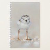 Animaux de bébés cutest | Poussette de tuyauterie (Devant)