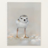 Animaux de bébés cutest | Poussette de tuyauterie (Devant)