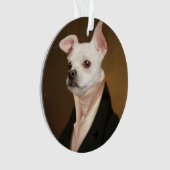 Animaux de bébés cutest | Royal Chihuahua Portrait (devant)