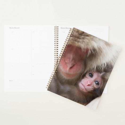 Animaux de bébés cutest | Singe des neiges (Devant avec enveloppe)