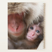 Animaux de bébés cutest | Singe des neiges (Dos)
