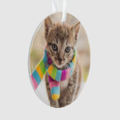 Animaux de bébés cutest | Tabby Kitten Écharpe arc (devant)