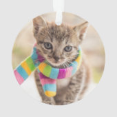 Animaux de bébés cutest | Tabby Kitten Écharpe arc (dos)