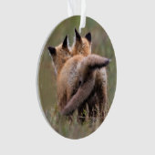 Animaux de bébés cutest | Tails de verrouillage de (devant)